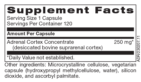 Adrenal Cortex